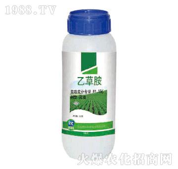 81.5%�Ҳݰ�-�x��