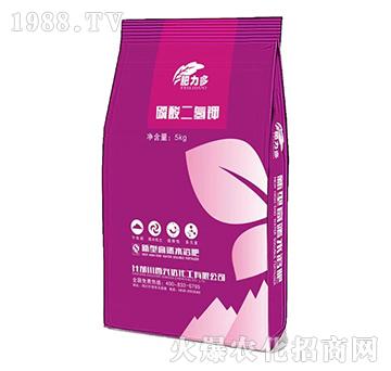 ��������-������-�d�_(d��)����