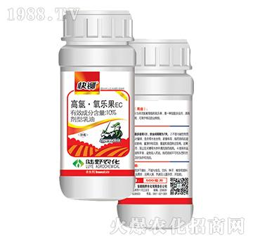 10%���ȡ�����������