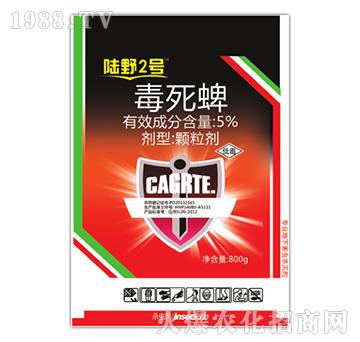 5%�������w����-�Ұ