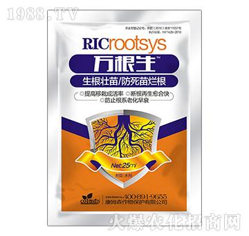 �f(w��n)����-��ķɭ