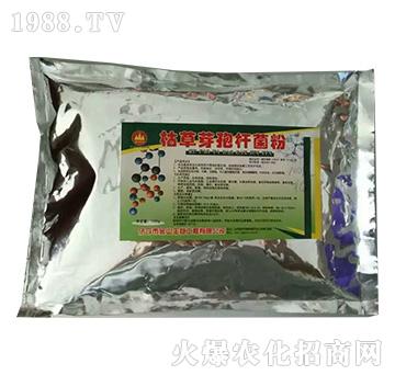 �ݲ�ѿ�ߗU����-��ɽ��