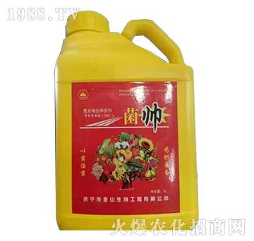 �����ͺ�΢�������-��