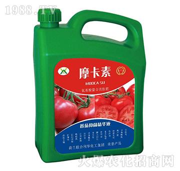 番茄抑菌精華液-摩卡素-強(qiáng)芯國際