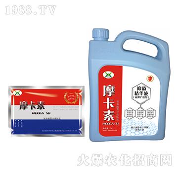高鉀抑菌精華液（壺加袋）-摩卡素-強芯國際