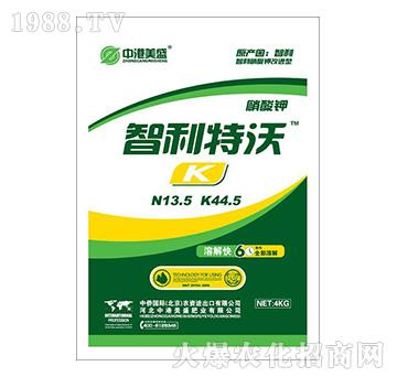 �������������