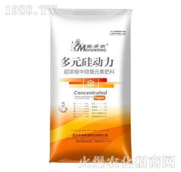 ��Ԫ�����