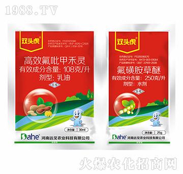 �󶹳��݄��M�����b-�p�^��-�h(yu��n)Ҋ(ji��n)�r(n��ng)�I(y��)