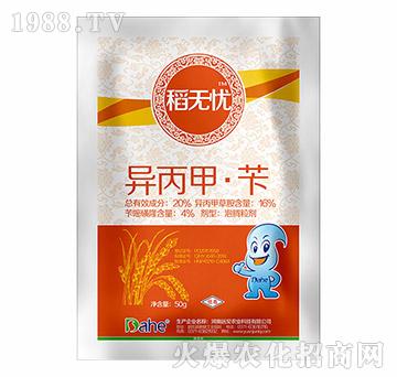 20%�����ס��S-���o�n-�h(yu��n)Ҋ�r(n��ng)�I(y��)