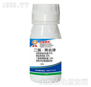 37%���ȡ�ݬȥ��-�t