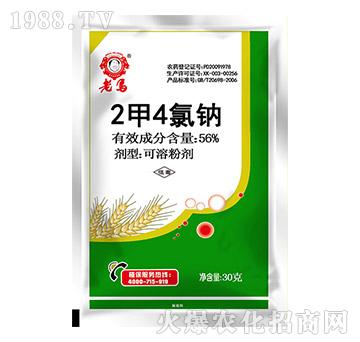 56%2��4�ȼ{-���R-�����r�I(y��)