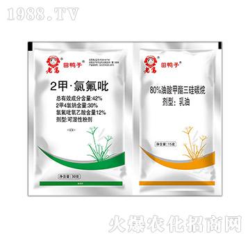 42%2�ס��ȷ���+8