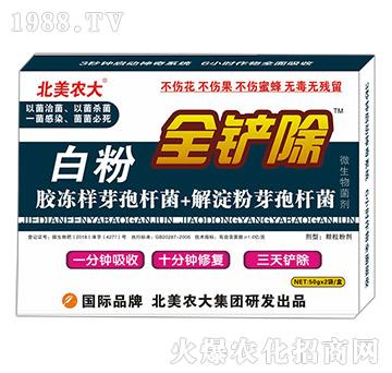 �׷�ȫ�P��-�����r(n��ng)��