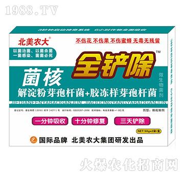 ����ȫ�P��-�����r��