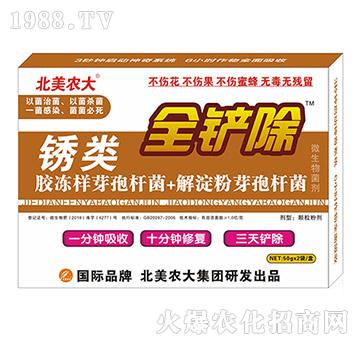 �P�-ȫ�P��-�����r(n��ng)��