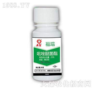 �����Ѿ���-���R����-