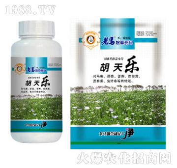 ���R����ˎ��-���옷-