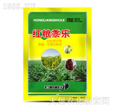 48%ݬȥ��-�t�Z��-�����r�I(y��)