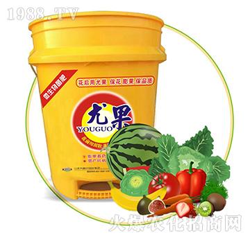 �ȹ���΢������ʣ�-��