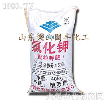 �Ȼ��-��ɽ���S