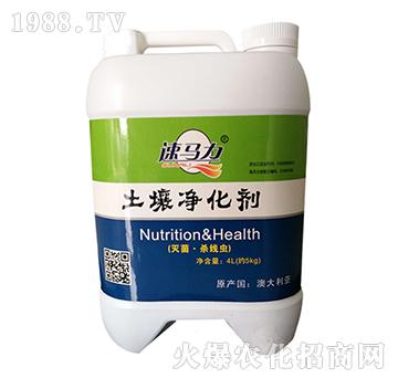 ����������-���R��-��