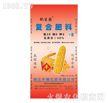 ��(f��)�Ϸ���28-6-6-�����@-���׻���