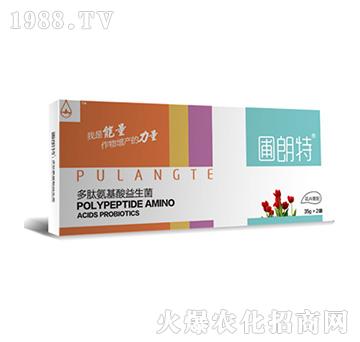 ��������-���İ�����������-������