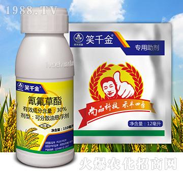 Цǧ��M��-�к����_