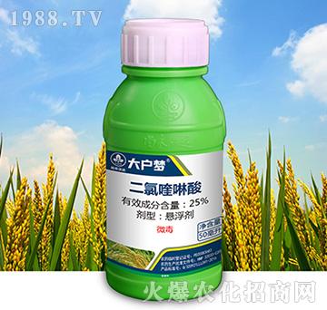 25%���������-����(m��ng)-�к����_(d��)