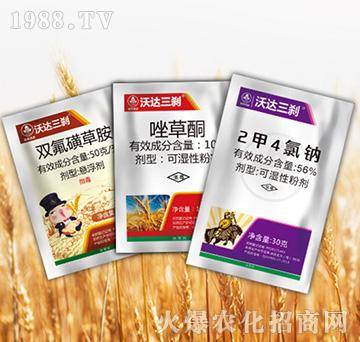 ���_���x�M��-�к����_