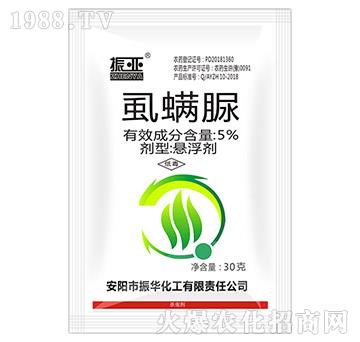 5%ʭ����-��-���A