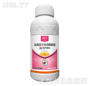 õ�廨���Ú�������-����-�����r(n��ng)