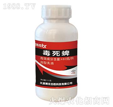 480��ÿ��������-��