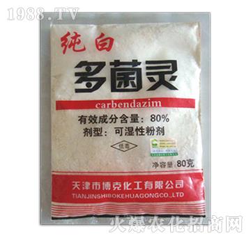 80%���׶���`-����