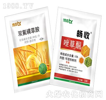 50��ÿ���p���ǲݰ�+