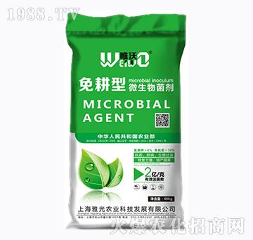 ����������ЙC(j��)��-Ψ��-�Ź��r(n��ng)�I(y��)