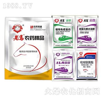 ��΢�M��+����+����