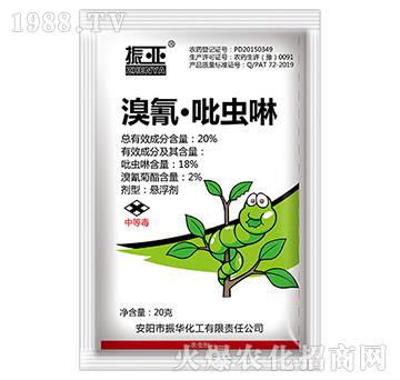 20%�������x��-���A