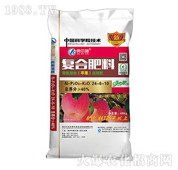 �O���ʏ�(f��)�Ϸ���24-6-10--�쌚�S