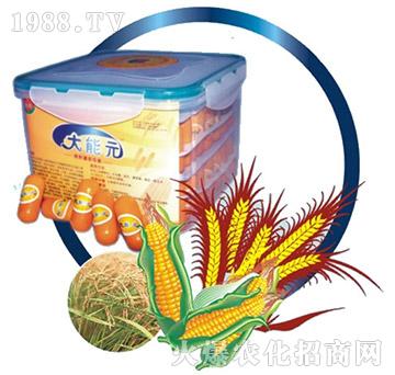 �ڷ۹��{����-����Ԫ-