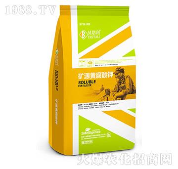 �VԴ�S�����-ؐ����