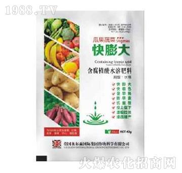 �Ϲ��߲ˌ��ú���ֲ��ˮ�ܷ���-�����-�W��ɭ