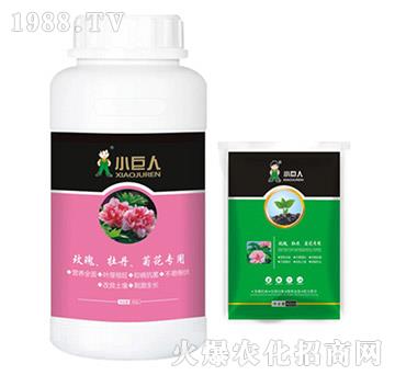 õ����ĵ�����ջ������{(di��o)��(ji��)��-С����