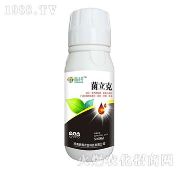 ������-ֲС��-��ֲ