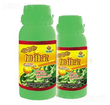 �����-���f��-�r�̘�