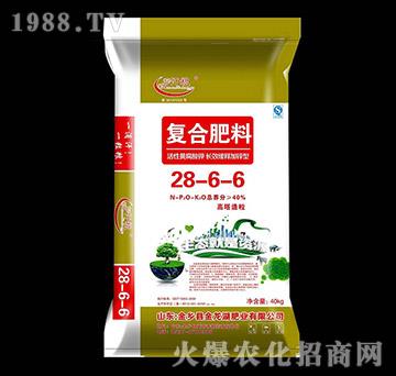 40kg���������ͺϷ���28-6-6-���Z