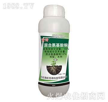 10%��ϰ������~-����-����ٲ�