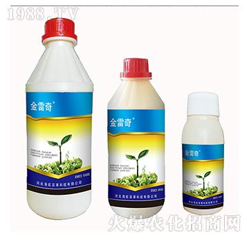 21%�^������-������-����ٲ�