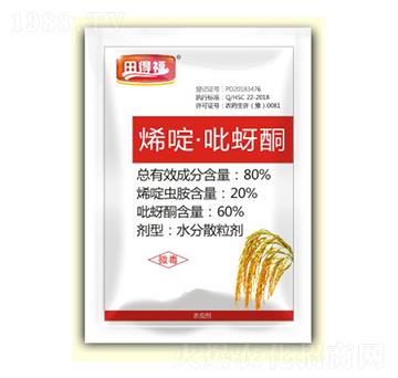 80%ϩड�����ͪ-��ø�-��Gֲ��