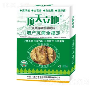 �󽪌��ú���ֲ��ˮ�ܷ���-�������-��Gֲ��